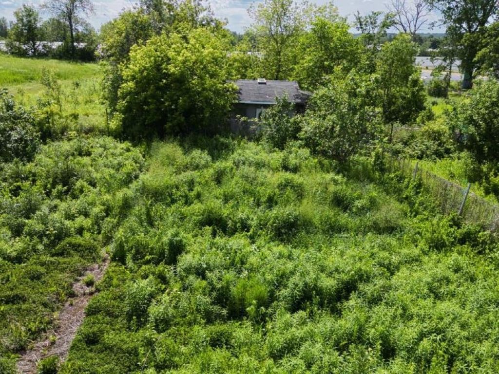 9,000 sq.ft. Agricultural land for rent in Laval (Auteuil)
