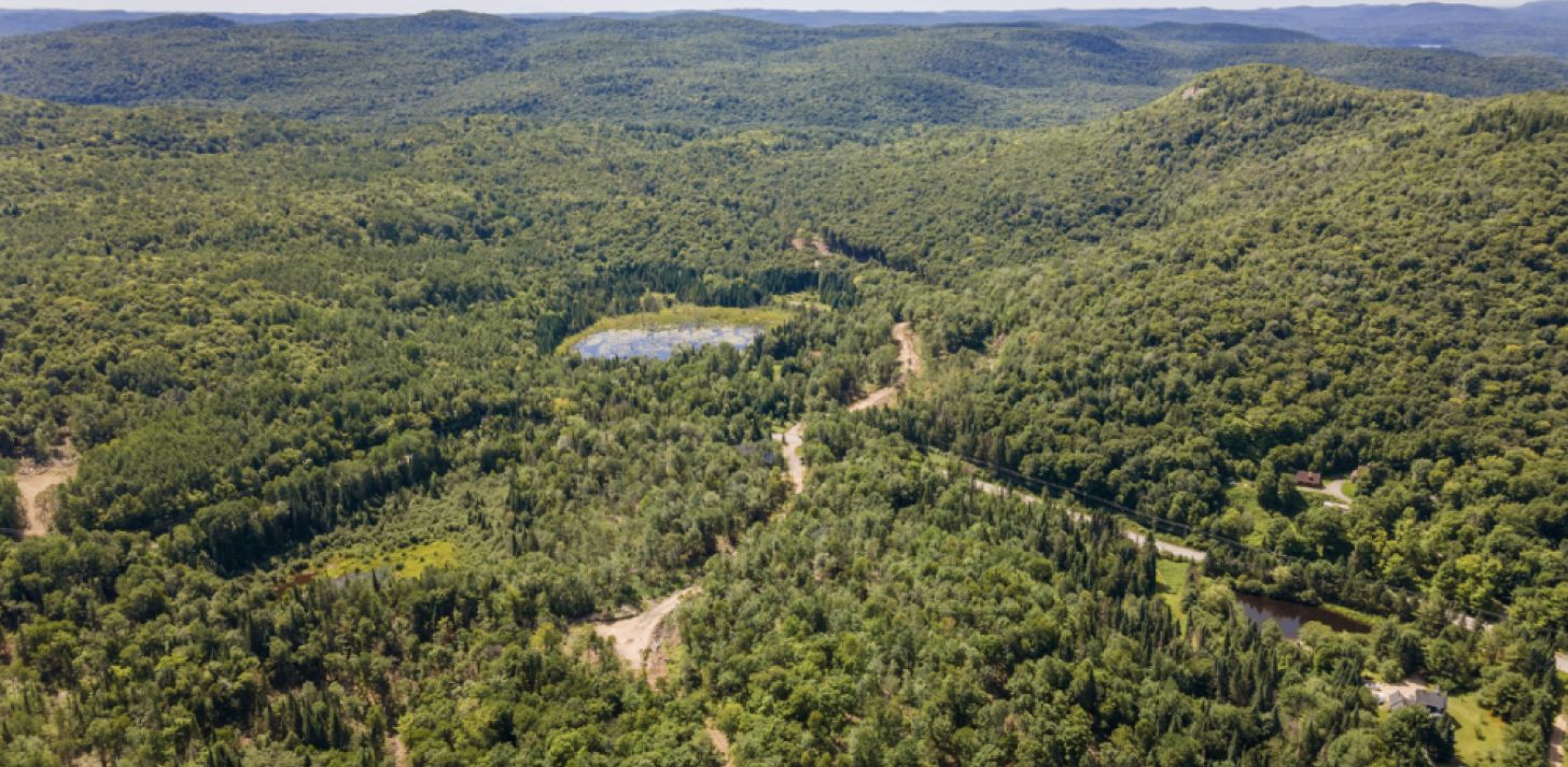 Terrain montagneux pour développement intégré - À vendre