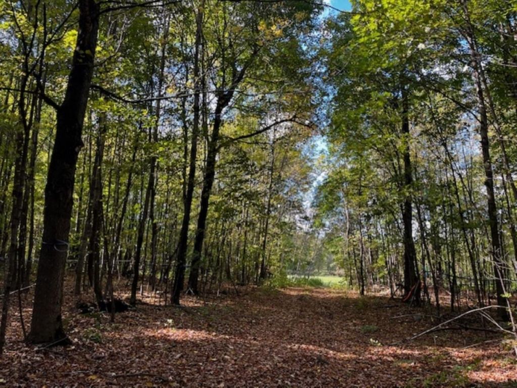 67-acre agricultural land for sale in Mirabel