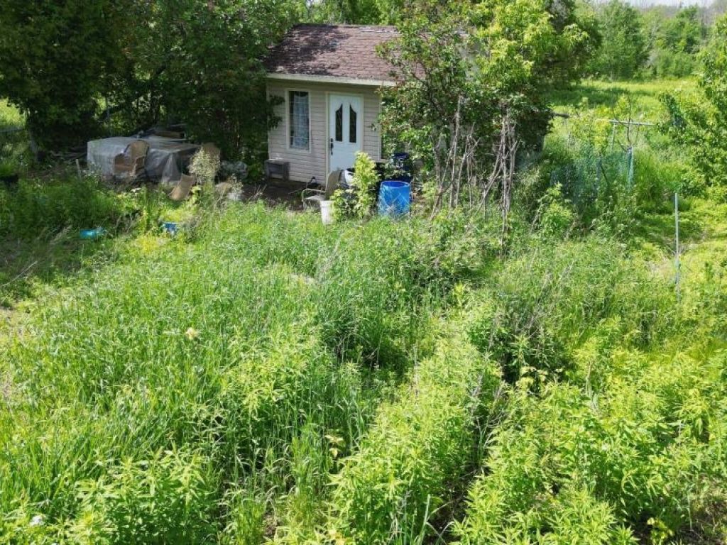 9,000 sq.ft. Agricultural land for rent in Laval (Auteuil)